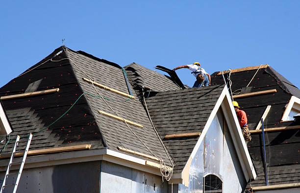 Best Local Roofing Companies  in Lexington, NE