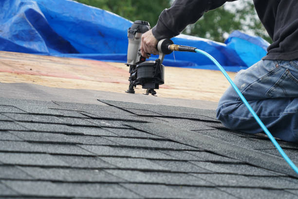 Best Metal Roofing Contractor  in Lexington, NE